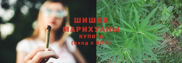 PSILOCYBIN Балабаново