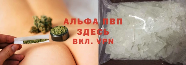 spice Баксан