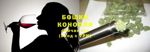 PSILOCYBIN Балабаново