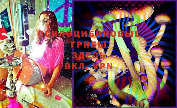 PSILOCYBIN Балабаново