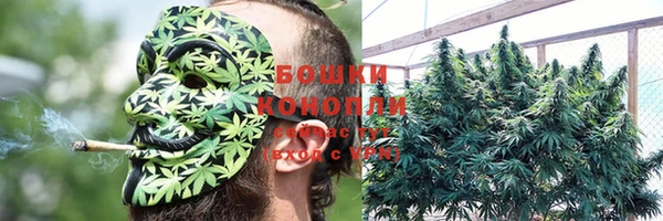 PSILOCYBIN Балабаново