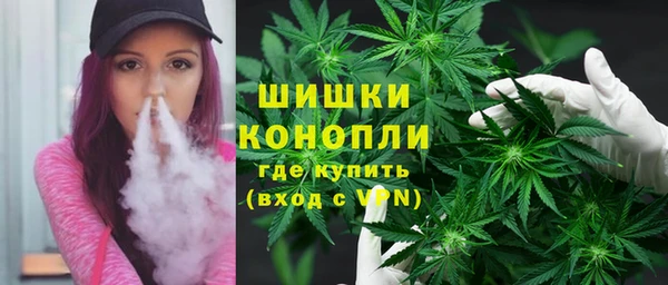PSILOCYBIN Балабаново